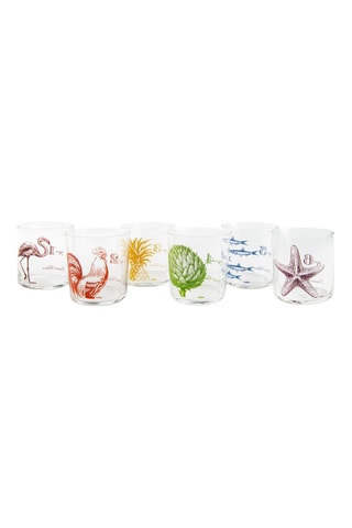 6 vasos Flore et Faune  -  37 cl