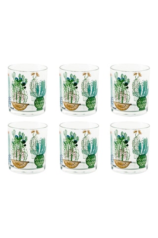 6 vasos Cactus - 25 cl