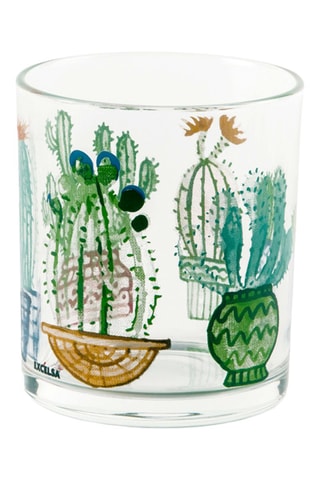 6 vasos Cactus - 25 cl