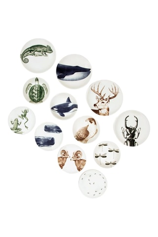 Vajilla de cerámica - 12 piezas