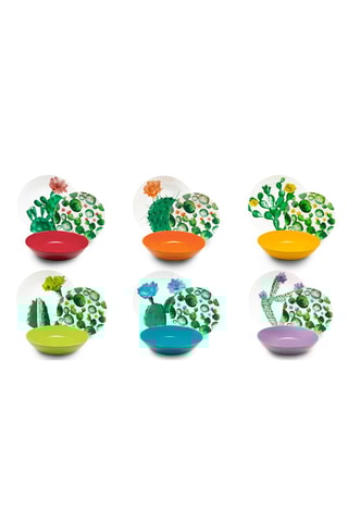 Vajilla de porcelana Flora Cactus -  18 piezas