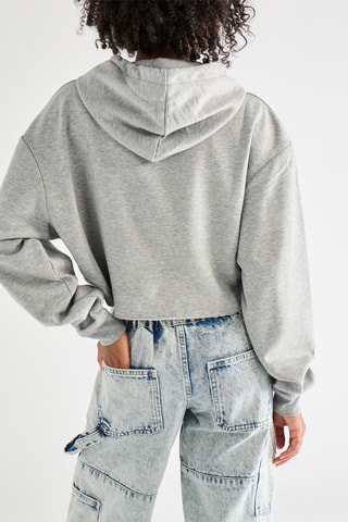 Sweater Pretty Poisons met Capuchon - Gemêleerd Grijs