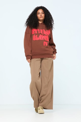 Sweater met capuchon - Bruin