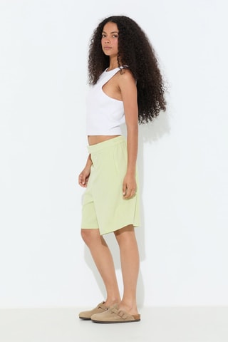 Bermuda - Lichtgroen