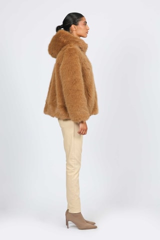 Veste - Camel