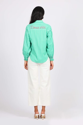 Chemisier - Vert et rose