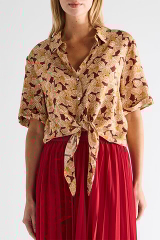 Chemisier - Marron et beige