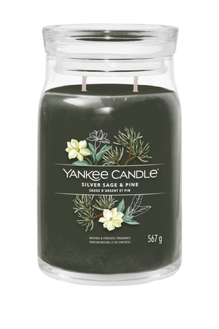 Vela perfumada jarra modelo grande Signature - Sauge argent et pin