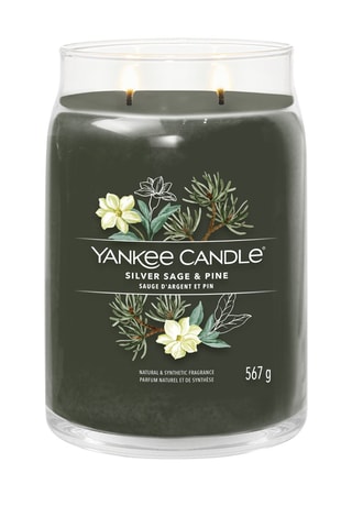 Vela perfumada jarra modelo grande Signature - Sauge argent et pin