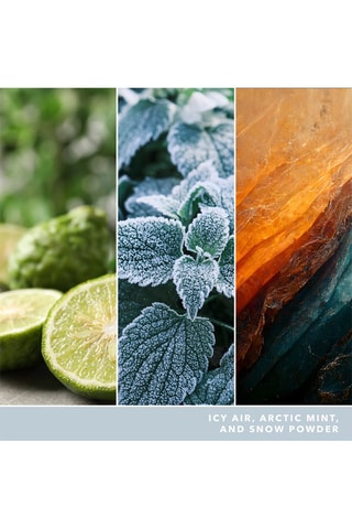 Vela perfumada jarra modelo grande Signature - Refuge du pôle Nord