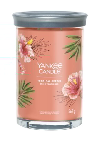 Vela perfumada jarra grande modelo - Brisa tropical