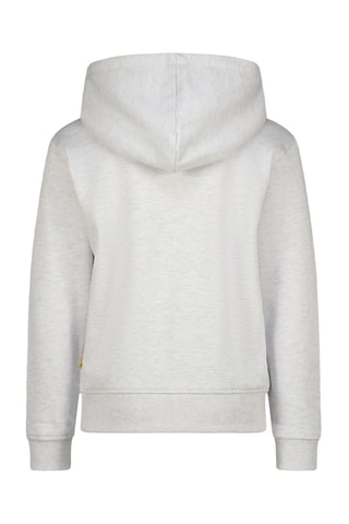Sweat à capuche Neda - Gris clair chiné