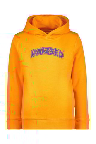 Sweat à capuche Treyton - Orange