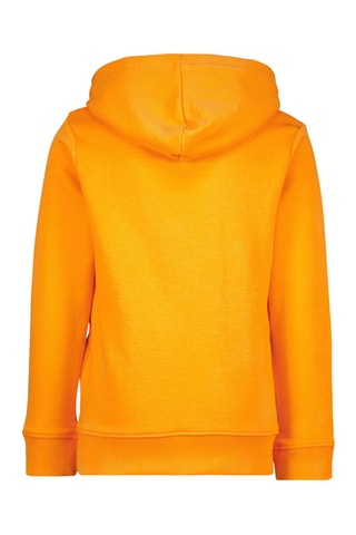 Sweat à capuche Treyton - Orange