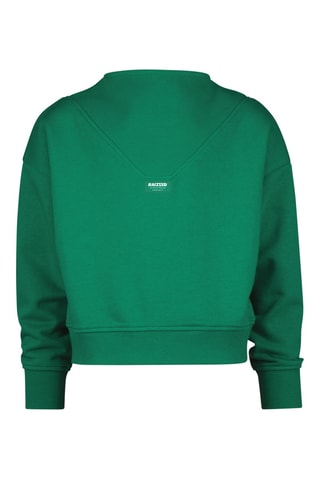 Sweat Norfolk - Vert clair
