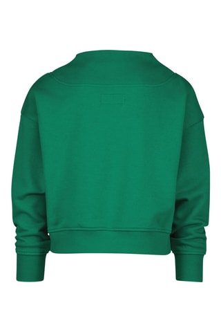 Sweat Norfolk - Vert clair