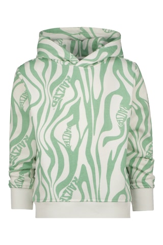 Sweat à capuche Arizona - Vert clair