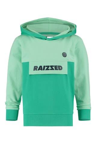 Sweat à capuche Norwich - Vert clair