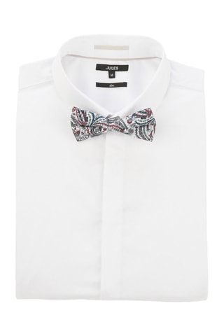 Noeud papillon  - Multicolore