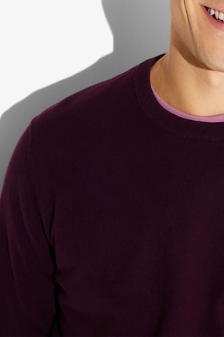 Pull en coton biologique - Violet