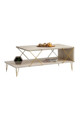 Table basse Loire - 100 x 40 x 50 cm
