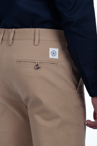 Chino - Camel