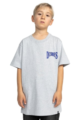 T-shirt - Grigio - DC Shoes