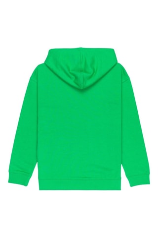 Felpa con cappuccio - Verde chiaro - Element