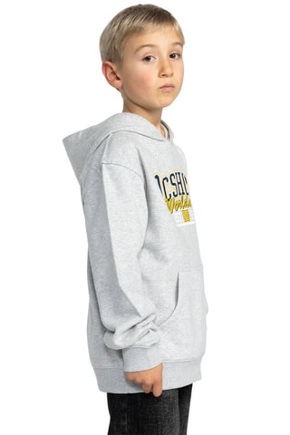 Felpa con cappuccio - Grigio chiaro melange - DC Shoes