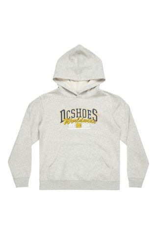 Felpa con cappuccio - Grigio chiaro melange - DC Shoes