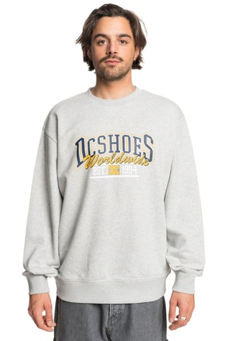 Felpa - Grigio chiaro melange - DC Shoes