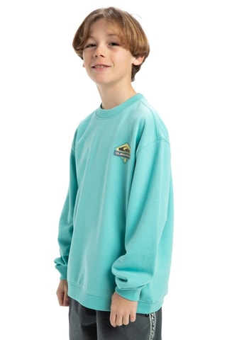 Felpa in cotone bio - Azzurro - Quiksilver