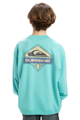 Felpa in cotone bio - Azzurro - Quiksilver