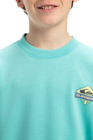 Felpa in cotone bio - Azzurro - Quiksilver