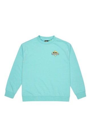 Felpa in cotone bio - Azzurro - Quiksilver