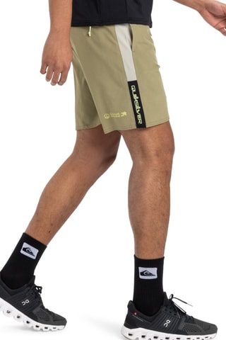 Shorts - Beige e grigio chiaro - Quiksilver