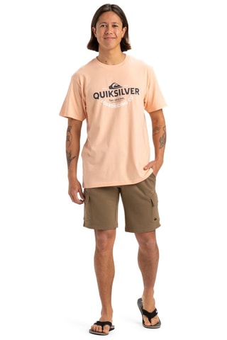 Shorts - Beige - Quiksilver