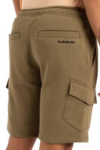 Shorts - Beige - Quiksilver