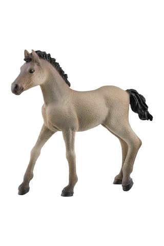 Poulain Criollo Definitivo Horse Club - Dès 5 ans