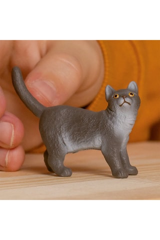 British shorthair Farm World - Dès 3 ans