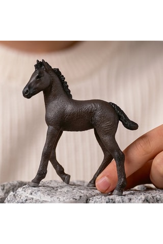 Poulain Frison Horse Club - Dès 5 ans