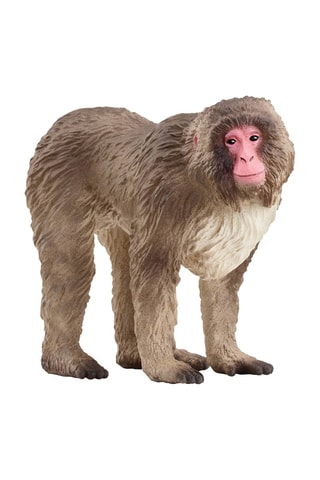 Macaque japonais Wild Life - Dès 3 ans