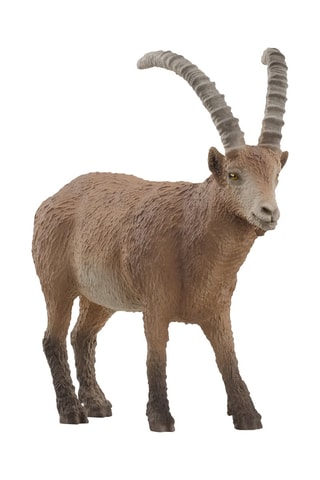 Bouquetin Wild Life - Dès 3 ans