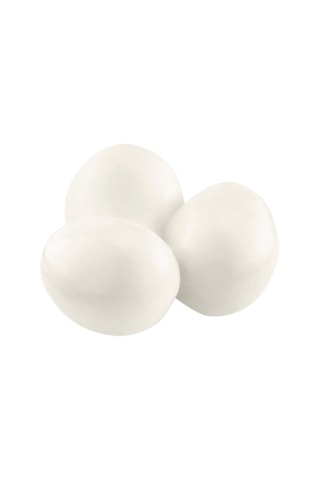 Duel alligator et anaconda Wild Life - Dès 3 ans