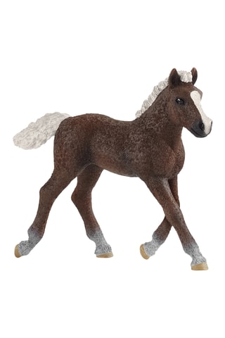 Figurine poulain Black Forest Farm World - Dès 3 ans