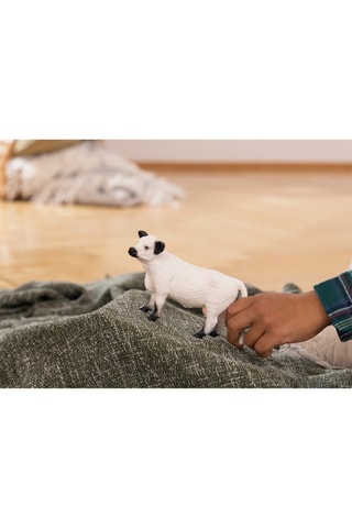 Vache Galloway - Dès 3 ans