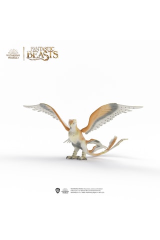 Oiseau tonnerre - Dès 6 ans