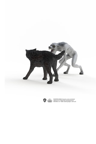 Loup garou vs Animagus - Dès 6 ans