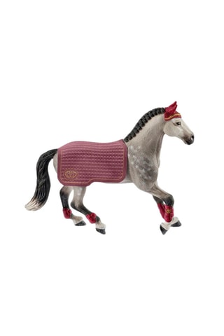 Jument Trakehnien concours équestre - Dès 3 ans