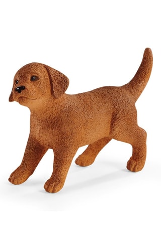 Excursion en chariot Farm World - Dès 3 ans